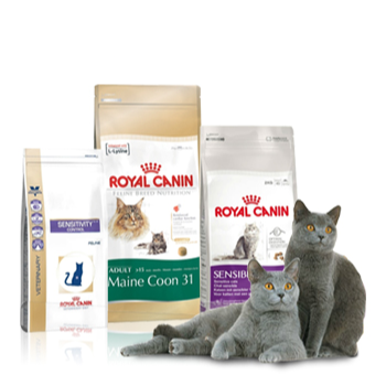 MAKANAN KUCING ROYAL CANIN