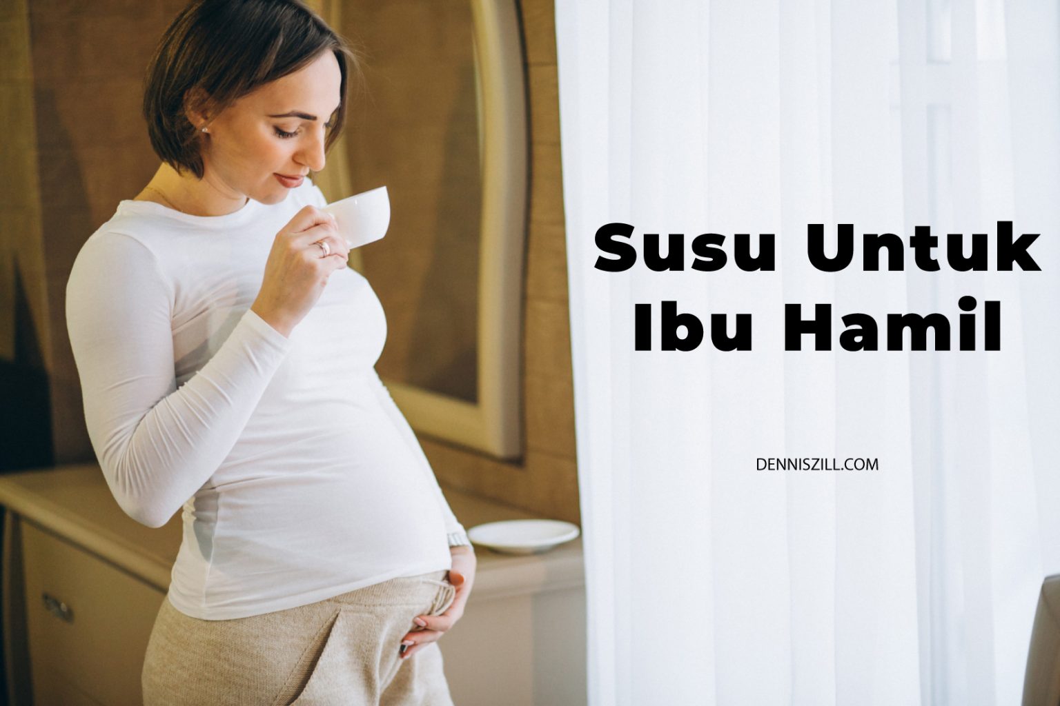 Susu Untuk Ibu Hamil Mana Yang Terbaik Hamil Dennis Zill